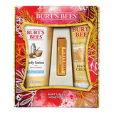 Bálsamo Labial Chapstick  Burt's Bees Honey Pot Set De Regal