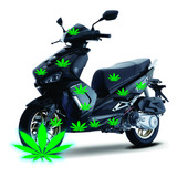 Stiker Marihuana 100 Pz Varios Tamaños Motocicleta Motoneta