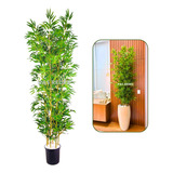 Bambu Mossô Artificial Tronco Natural 180cm + Vaso Apoio