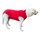 Roupa Para Pet Pós Cirúrgica Cães (fêmeas) - Tam. Nº 7, 8, 9