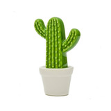 Cactus Plano, Maceta Ceramica 11 Cm, 1 Unidad