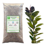 Sustrato Para Ficus En General Calidad Premium 10 Litros