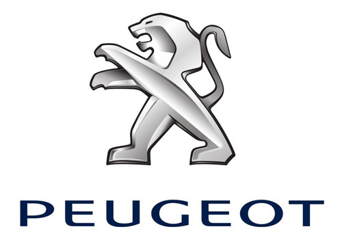 Kit Filtro Aceite Peugeot 306 1.9 Diesel + Total 7000 X 4l  Foto 5