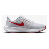 Calzado Para Hombre Nike Pegasus Flywire 39 Gris