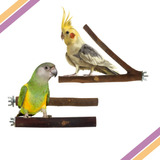 Kit Com 03 Poleiros Naturais Para Pássaros Pequenos E Médios