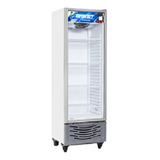 Freezer Exhibidor Vertical De Congelados Briket 4300 Bt 