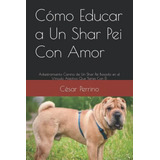 Como Educar A Un Shar Pei Con Amor: Adiestramiento Canino De