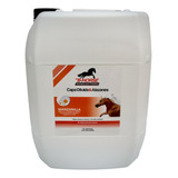  B-horse Shampoo Para Caballo Capa Diluida & Alazanes 20l