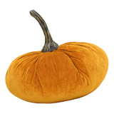 Mini Tela De Calabaza, Pequeña, Compacta, Material Retorcido