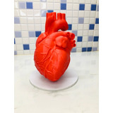 Corazón Anatómico A Escala Real - Impresión 3d