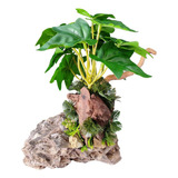 Enfeite Ornamento Aquario Planta Artificial Rocha Pedra