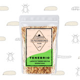 Larvas De Tenébrio Comum Desidratada - Molitor - 100g
