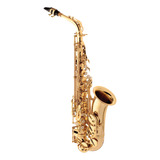 Saxofone Alto Spring Sa-500 Sp