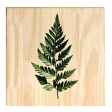 Quadro De Pinus Decorativo Folha 30x30