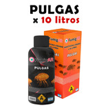 Insecticida Veneno Para Pulgas Garrapatas Mata X10 Litros 