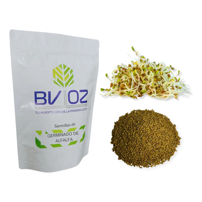 Semillas Germinado Alfalfa Sin Tratamiento 1lb