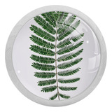 Walldor 4 Pcs Green Fern Leave Crystal Glass Round Cabinet .