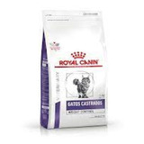 Royal Canin Castrado Weight Control 12kg Env. Gratis Al Pais