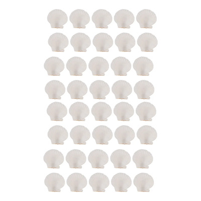 40 Conchas De Vieira Naturales Blancas Pequeñas De 1,4 A 2,4
