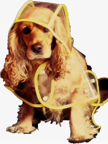 Capa Impermeable Transparente Para Perros, Talla S
