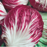 Semillas De Radicchio Rosa De Verona 