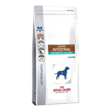 Royal Canin Gastrointestinal Moderate Calorie X 10kg