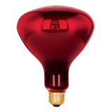 Lámpara Incandescente Calor Br40 270 Watts Rojo 48324 4 Pzs