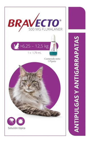 Antipulgas Para Gatos Bravecto  Spot On 6.2 - 12.5 Kg