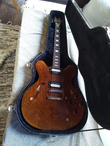 Guitarra Luthier 335 + Case (usada)(n Gibson EpiPhone)