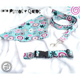 Bandana Para Perro- Dog Bandana +collar + Correa Talla S