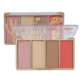 Paleta De Rostro Terra Trendy 