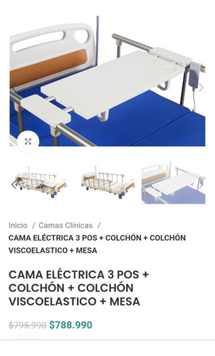 Cama Clínica Eléctrica + Alzador De Baño.poco Uso