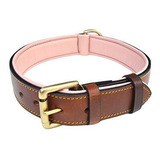 Soft Touch Collares Acolchado Cuero Collar De Perro, Grande 