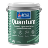Quantum Membrana Liquida Sherwin Williams X 5 Kg Color Blanco