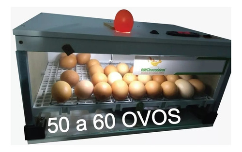 Chocadeira  50 Ovoss  Automática Resistência Brinde