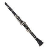 Clarinete Bb Com Chaves Niqueladas - Pro Fire Zelmer