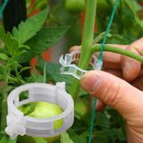 Pinzas Para Tomates De Alta Calidad, 100 Unidades, Soportes