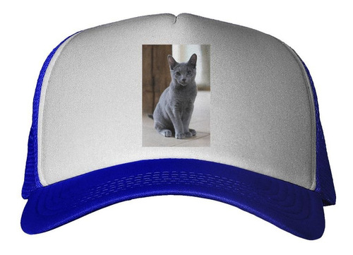 Gorra Gato Azul Ruso Sentado