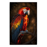 Cuadro De Colección Aves Hermosas Guacamaya Bandera # 5 Ch