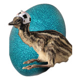 Filhotes Emu Australiano ( 5 Und )
