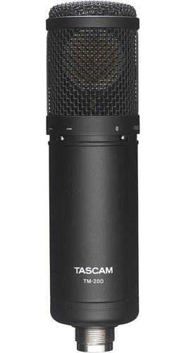 Tascam Tm-280 Microfono Condensador + Case Araña Y Antipop