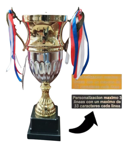Trofeo Dorado De Reconocimiento Copa Personalizada Ap80