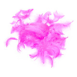 Plumas Decorativas Fucsia 100pcs