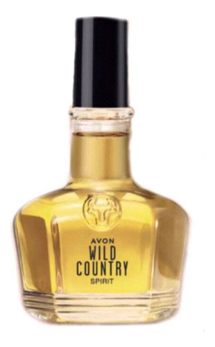 Perfume Varón Wild Country Spirit 100ml