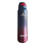 Botella Térmica Vacuum Sport Doble Hoja De Acero Frío-calor Color Borra Vino