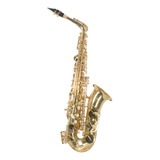 Saxofon Alto Tonalidad Eb Llave De F# Wesner Ssa1000-g
