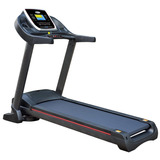 Cinta Correr Caminar Profesional Enerfit 870 - Motor Alterna