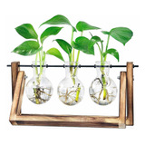 3 Soportes Terrarios Para Planta Colgante Floreros De Vidrio