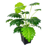 Planta Artificial Decorativa Realista Malanga Silvestre 60cm