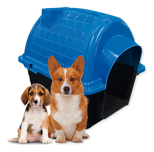 Casinha Cachorro Casa Pet Pequenos E Médios Portes Azul N3